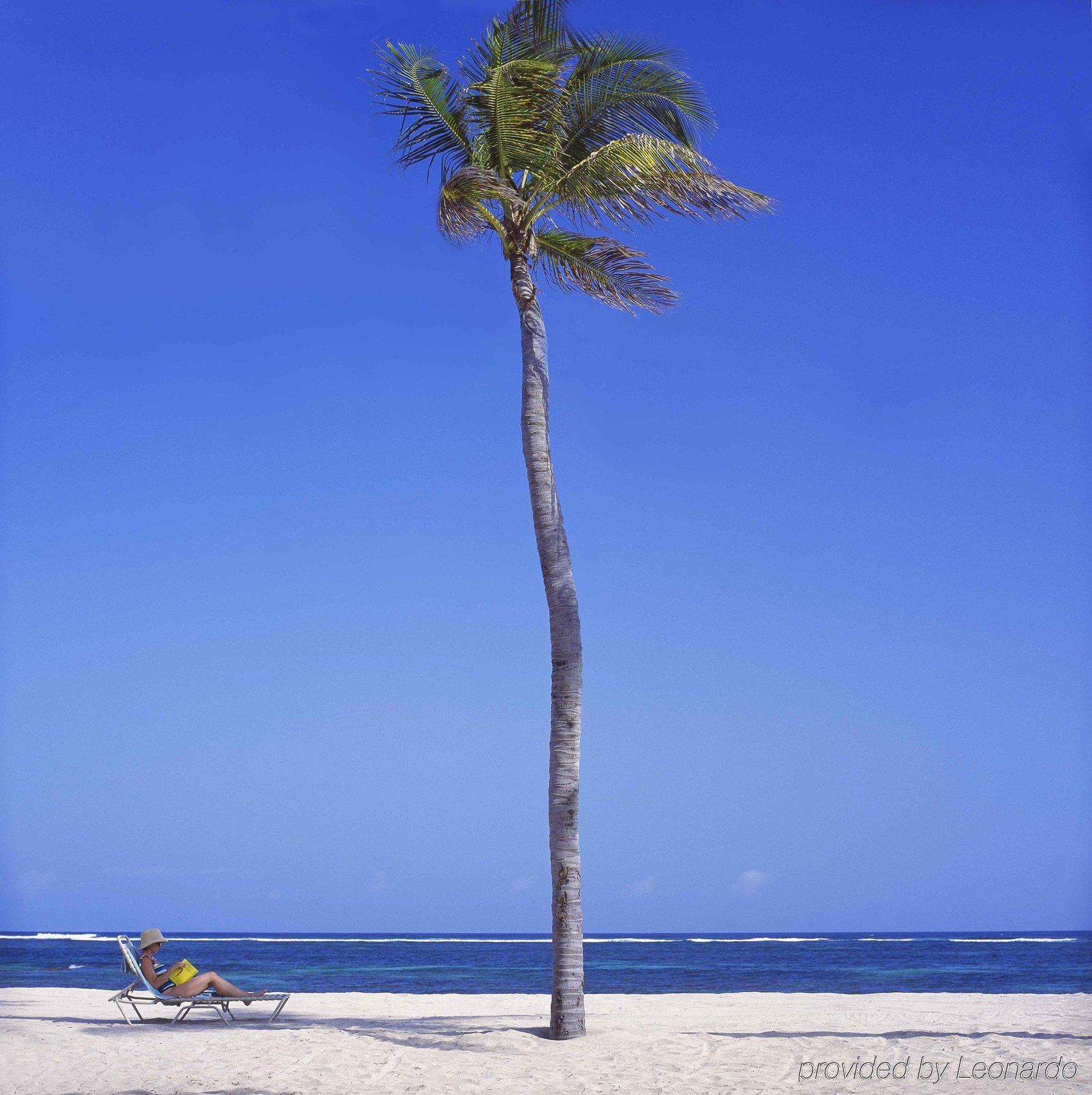 Nisbet Plantation Beach Club Newcastle Village Eksteriør bilde